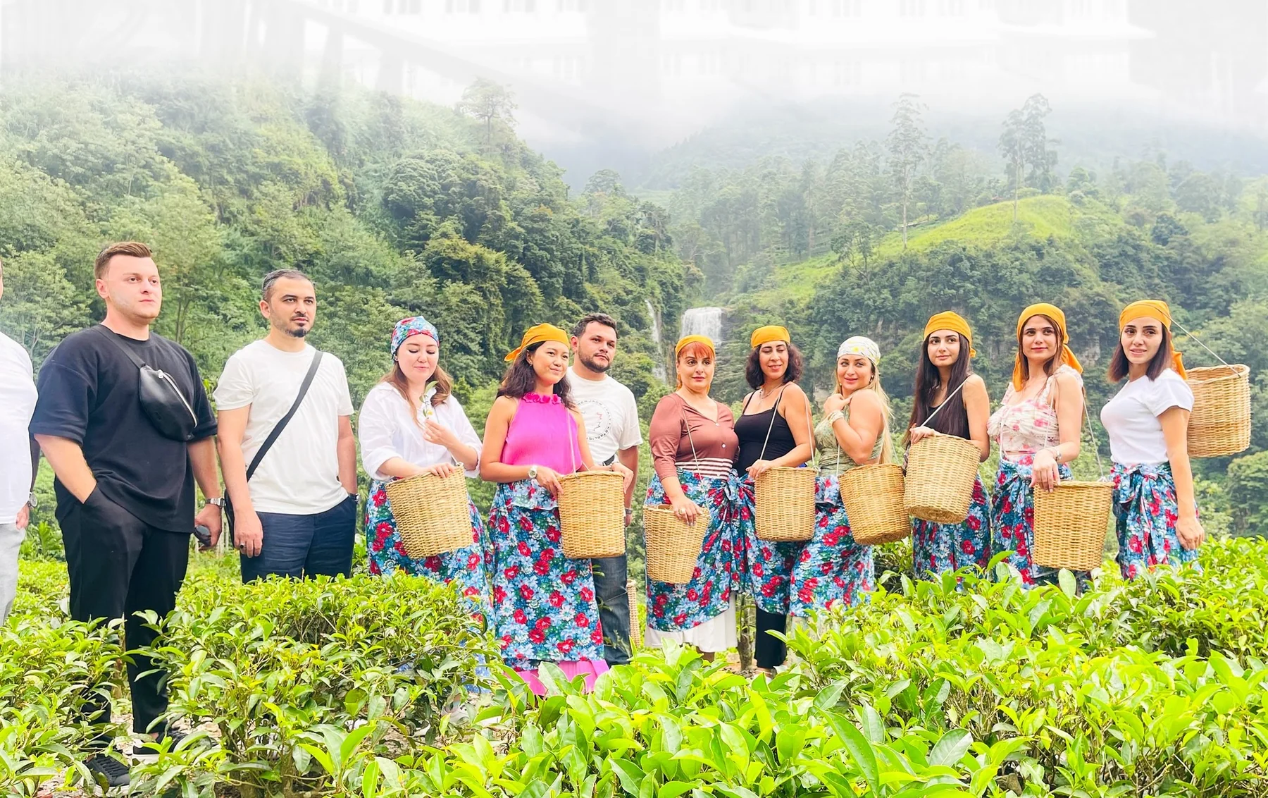 Group tea plucking experience at Kingswood