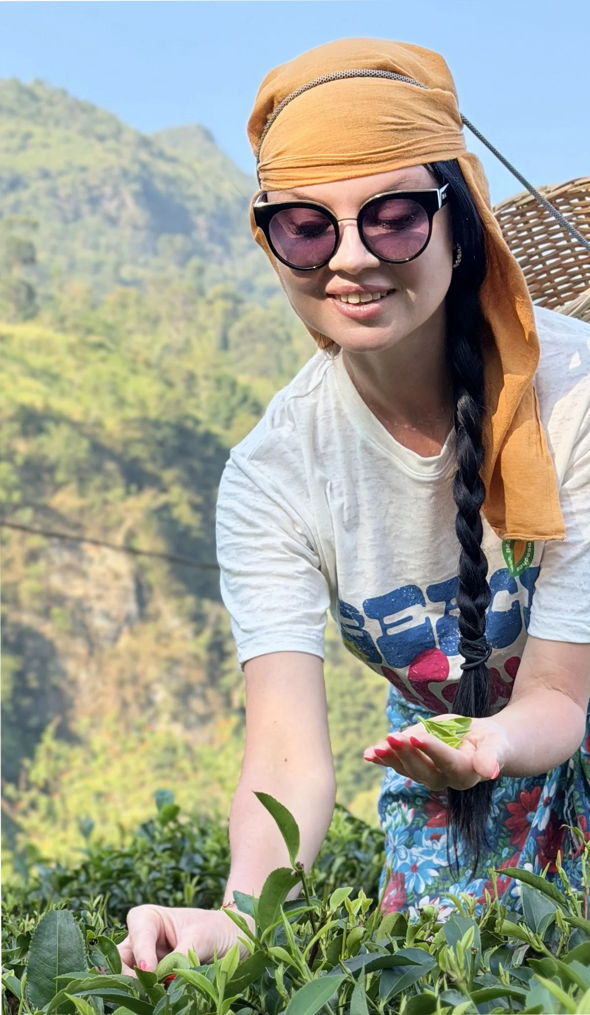 Guest enjoying a tea plucking experience
